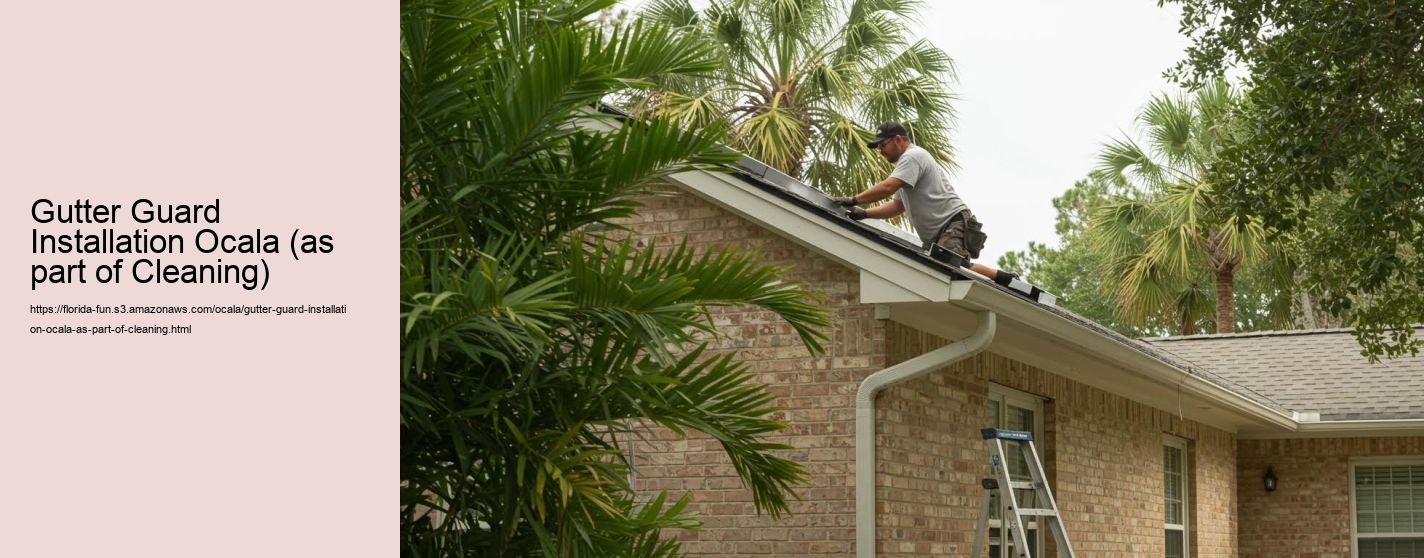Gutter Guard Installation Ocala (as part of Cleaning)