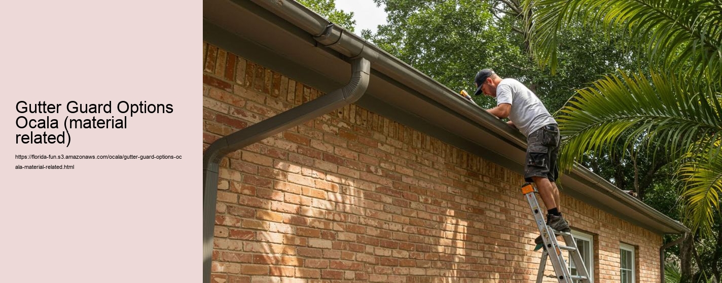 Gutter Guard Options Ocala (material related)