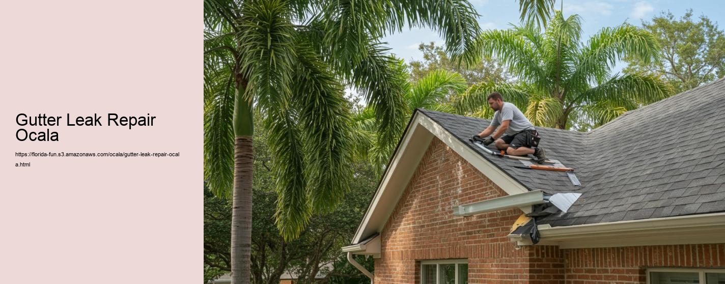 Gutter Leak Repair Ocala