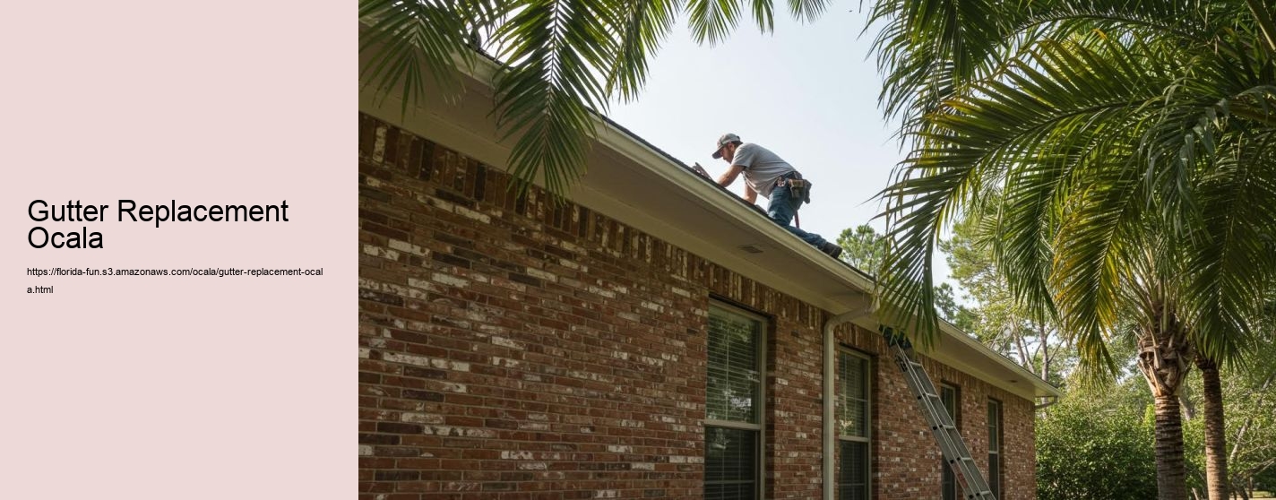 Gutter Replacement Ocala
