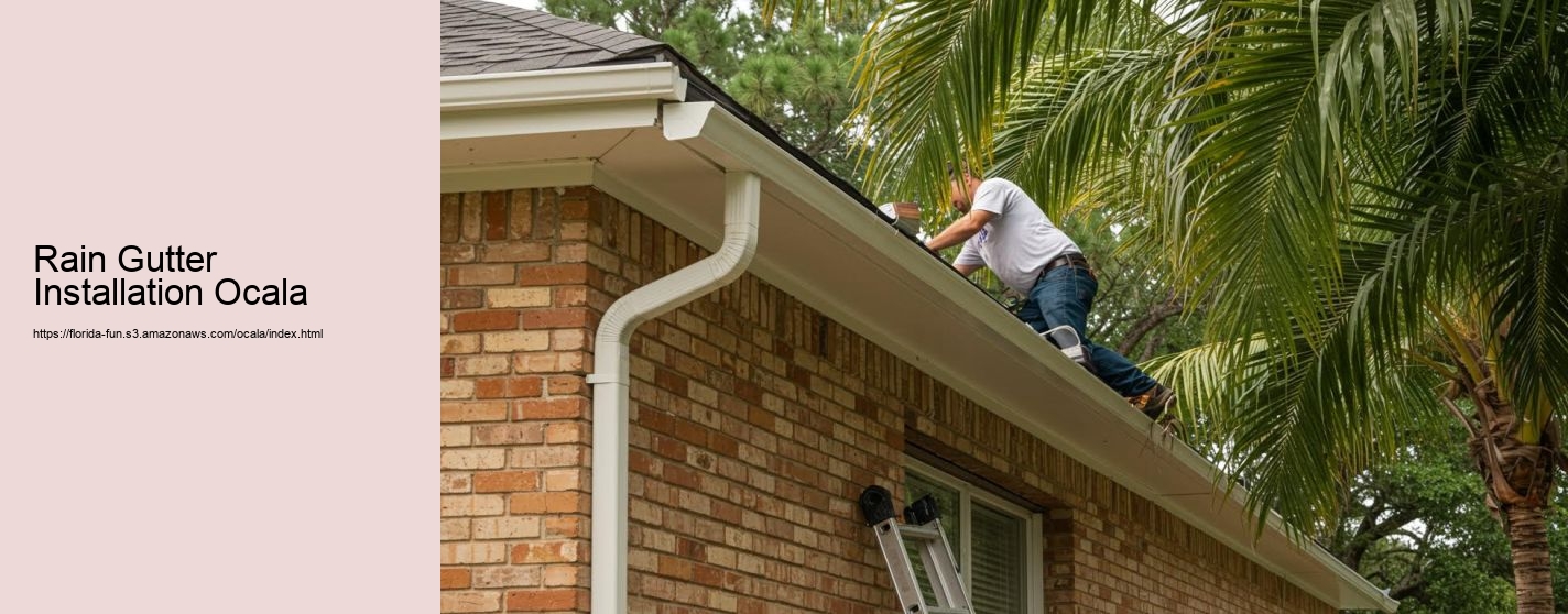 Rain Gutter Installation Ocala