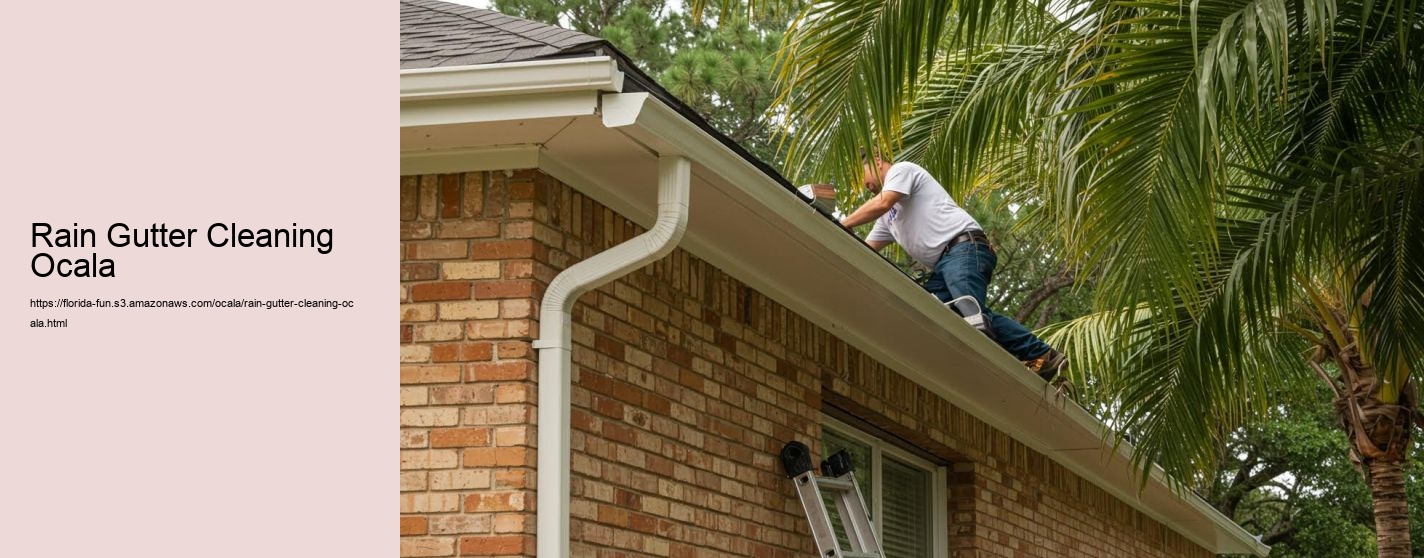 Rain Gutter Cleaning Ocala