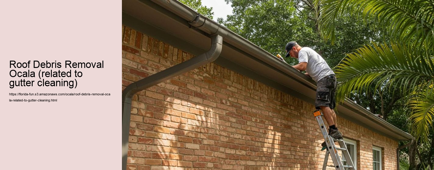 Roof Debris Removal Ocala (related to gutter cleaning)