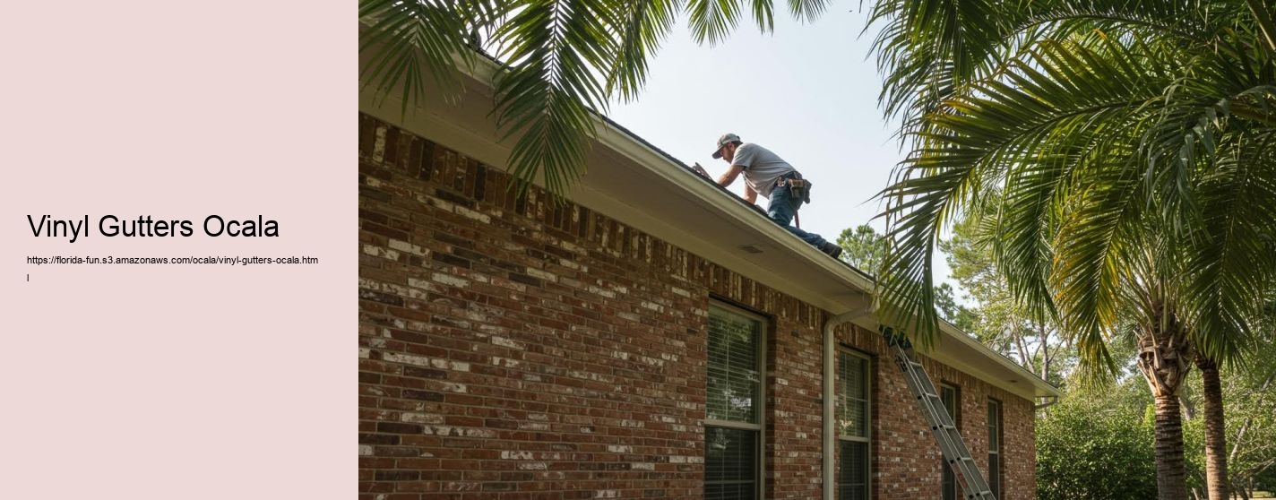 Vinyl Gutters Ocala